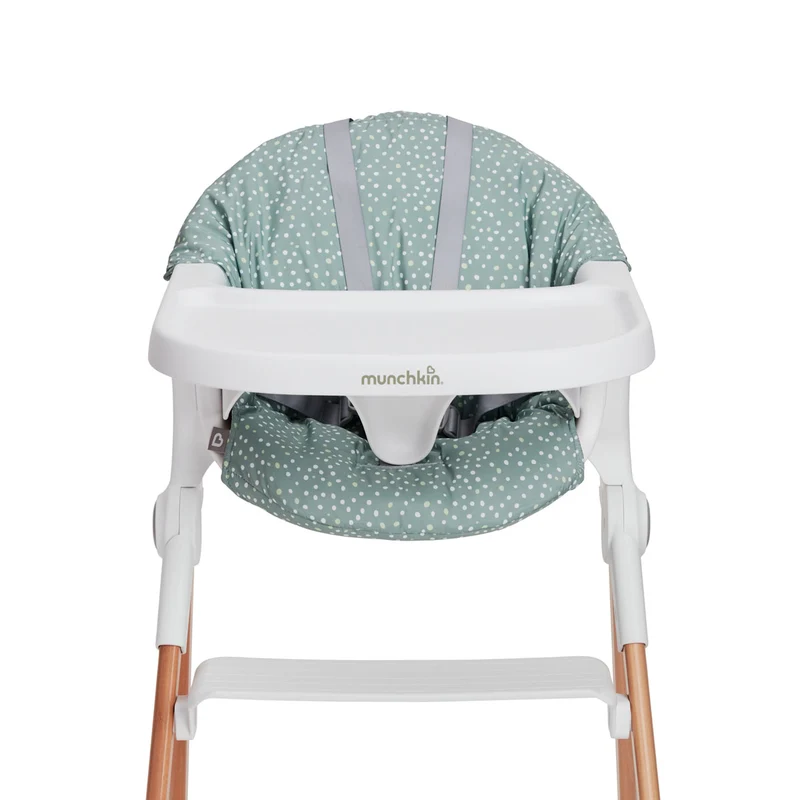 Early Feeding Support Cushion