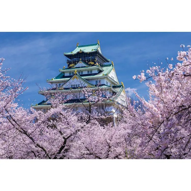 Puzzle Osacký hrad v plném květu Osaka 1000 dílků YAM-10-1482