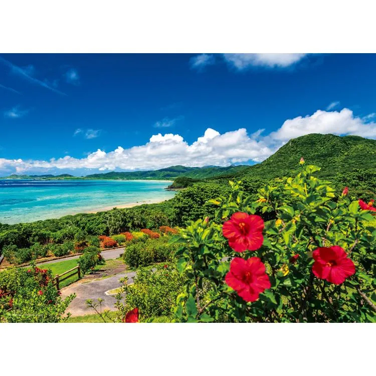 Puzzle Moře a ibišek, léto na ostrově Ishigaki Okinawa [CP-NT] 500 dílků YAM-05-1097