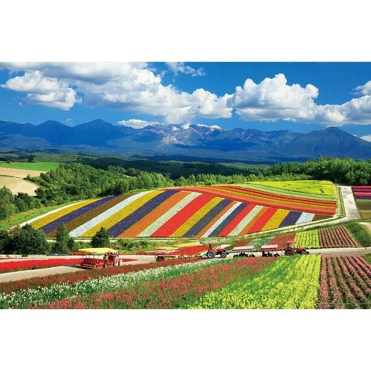 Puzzle Kopec Šikisai a pohoří Tokači Hokkaido [CP-NT] 1000 dílků YAM-10-1422