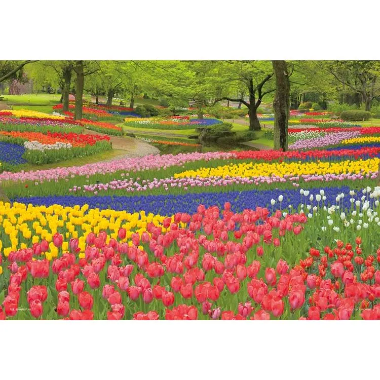 Skládačka Blooming Showa Kinen Park Tokyo 108 kusů YAM-01-2090