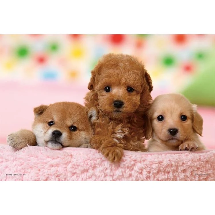 Puzzle Přátelé navždy Toy pudl, jezevčík a shiba inu 300 dílků YAM-03-873