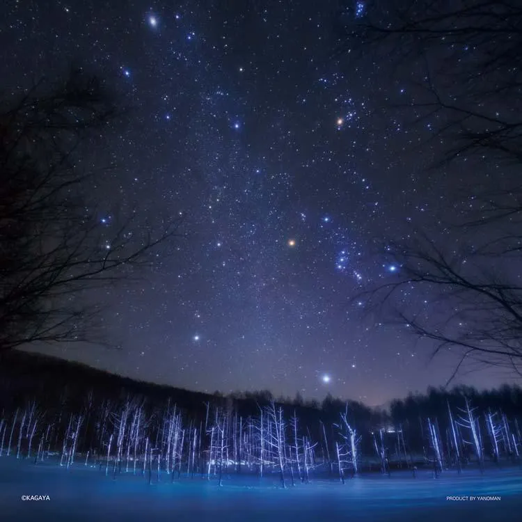 Puzzle Diamantové hvězdy nad Biei Hokkaido 306 dílků YAM-36-10 YANOMAN
