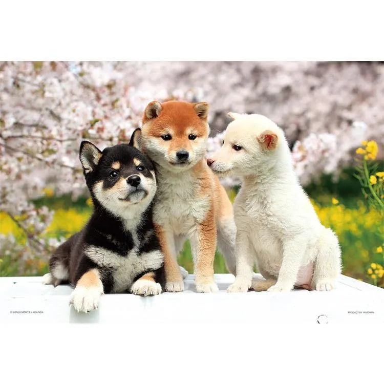 Puzzle Přátelští přátelé Shiba Inu 300 dílků YAM-03-883 YANOMAN
