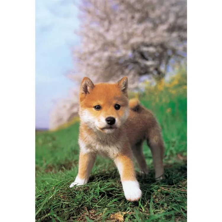 Puzzle Jsem Shiba Inu! 108 dílků YAM-01-2071 YANOMAN