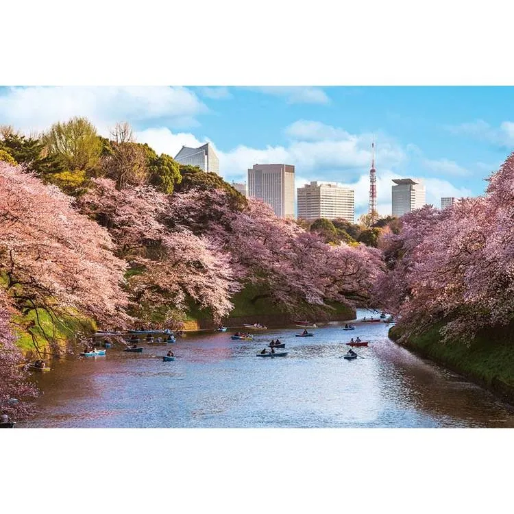 Puzzle Chidorigafuchi Třešňový květ Pohled na Tokio 1000 dílků YAM-10-1436 YANOMAN