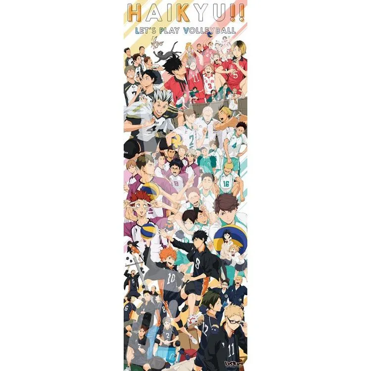 Puzzle HAIKYU!! CHRONICLES Haikyu!! – 950 dílků, ENS-950-48