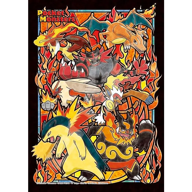 TYP Skládačky: OHNIVÝ Pokémon – 208 dílků, ENS-208-AC52