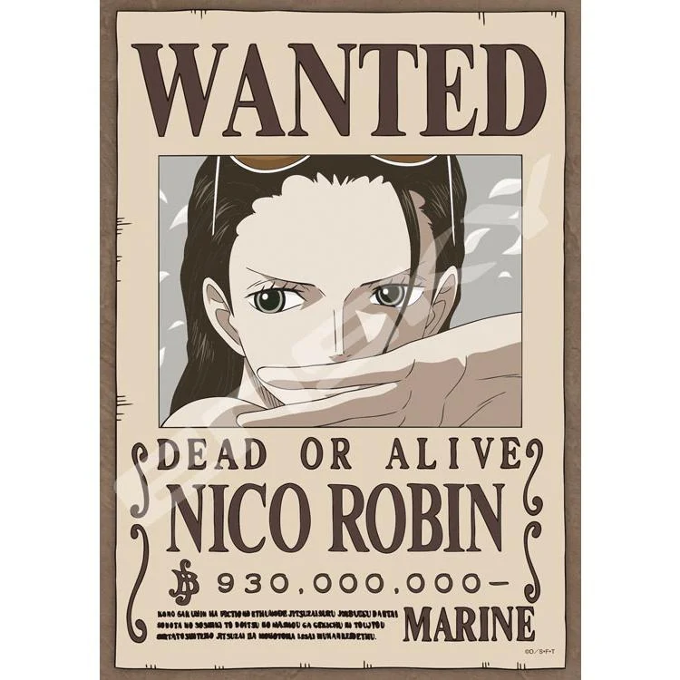 Puzzle Archeolog „Dítě ďábla“ Nico Robin One Piece – 208 dílků