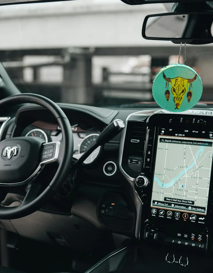 Interior Rear View Mirror Hanging (Drum) Buffalo