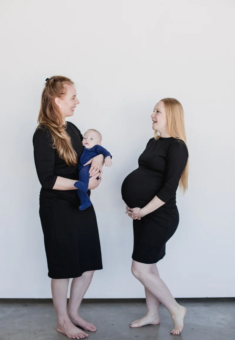 Taryn 3/4 Sleeve Maternity and Nursing Dress